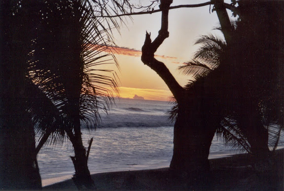 Costarica - La Leona